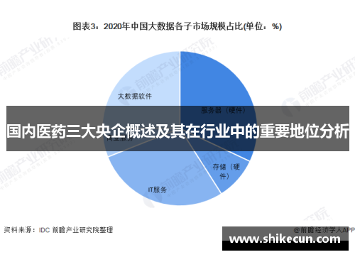 国内医药三大央企概述及其在行业中的重要地位分析