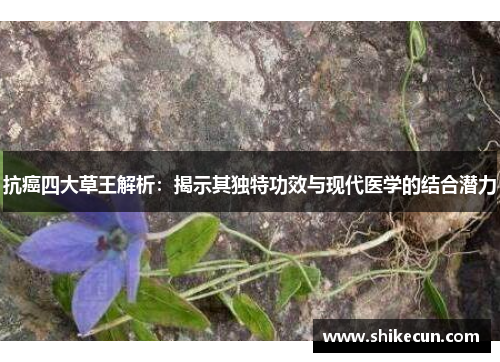 抗癌四大草王解析：揭示其独特功效与现代医学的结合潜力