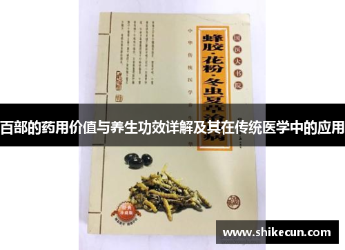 百部的药用价值与养生功效详解及其在传统医学中的应用