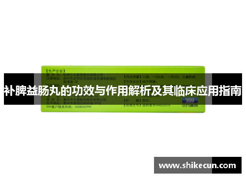 补脾益肠丸的功效与作用解析及其临床应用指南