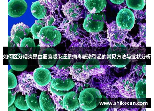 如何区分咽炎是由细菌感染还是病毒感染引起的常见方法与症状分析