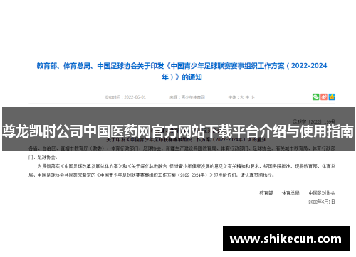 尊龙凯时公司中国医药网官方网站下载平台介绍与使用指南