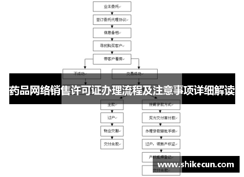 药品网络销售许可证办理流程及注意事项详细解读